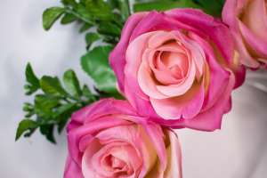Український вінок з рожевими трояндами