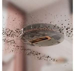 ELECTROLUX ER61UD1UG